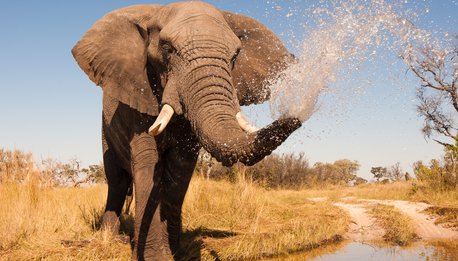 Botswana Fiumi e Safari - Botswana
