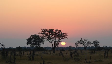 Il Trionfo della Natura - Botswana