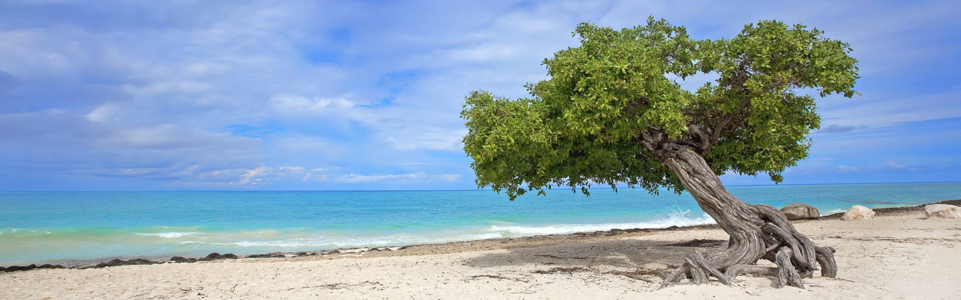 testata Bucuti e Tara Beach Resort