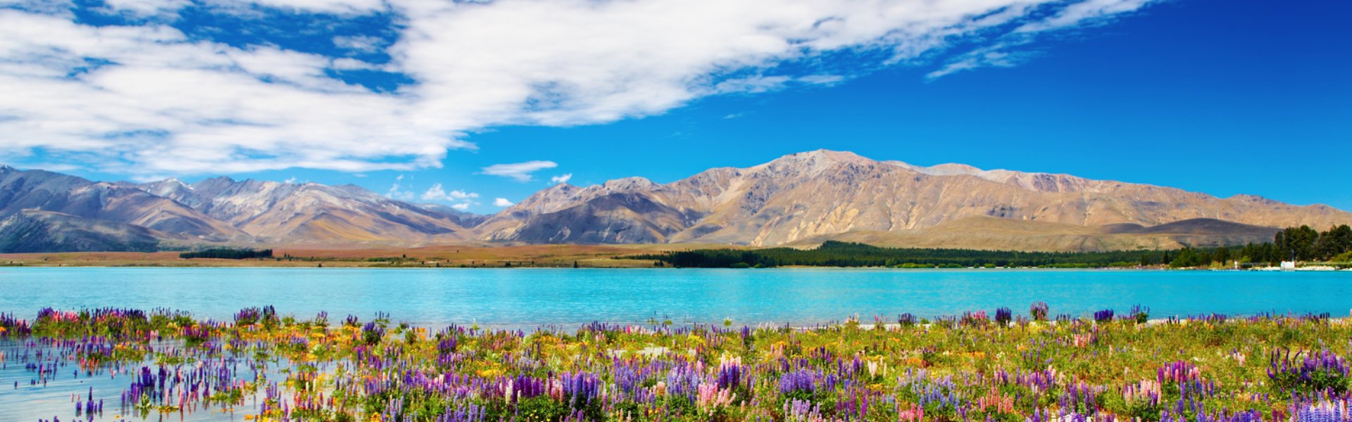 testata Villaggio Maori e Parchi Geotermali