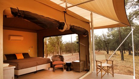 Ikara Safari Camp  - South Australia