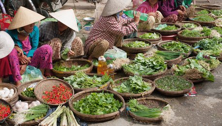 Vietnam Explorer - Vietnam