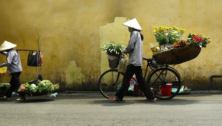 Vietnam Classico - Vietnam