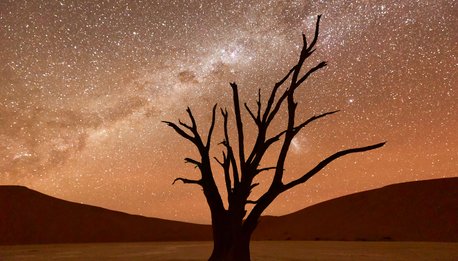 Dead Vlei at dusk in the southern part of the Namib Desert, in the Namib-Naukluft National Park of Namibia.