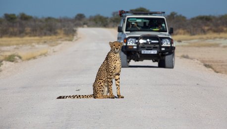Self Drive - Namibia