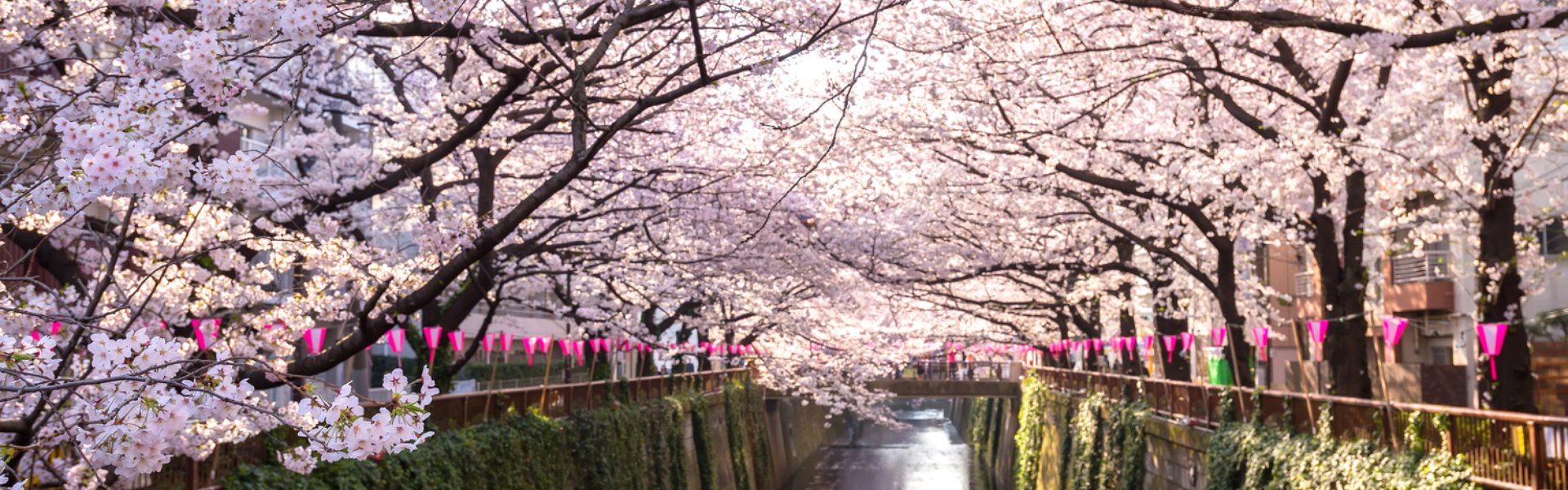 testata Nakasendo Way e Hiroshima