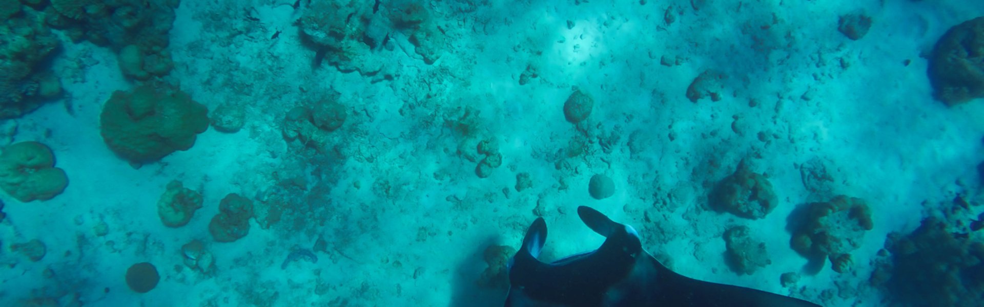 testata Coral Bay e Ningaloo Reef