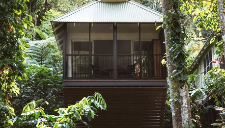 Daintree Ecolodge - Queensland