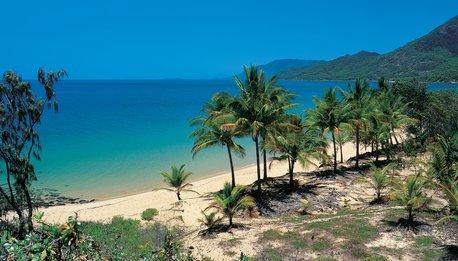 Thala Beach Nature Reserve  PORT DOUGLAS - Queensland