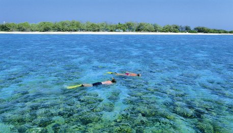 Lady Elliot Island Eco Resort - Queensland