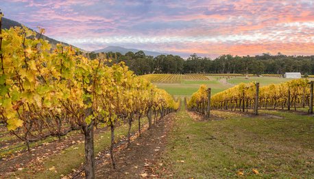 Valle di Yarra, Valle Barossa, Australia, Tramonto, Fattoria