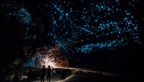 Cave di Waitomo, Nuova Zelanda, Caverna, Lampiride, Fiume