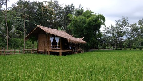 Immagini scaricate dal sito ufficiale dell' Asha Farm Stay