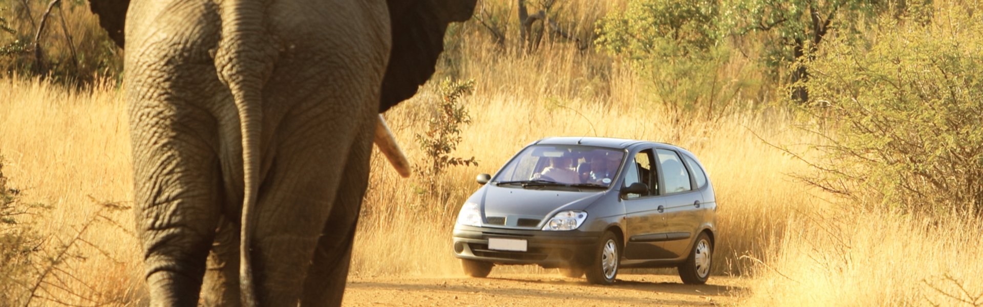 testata Self Drive Sudafrica