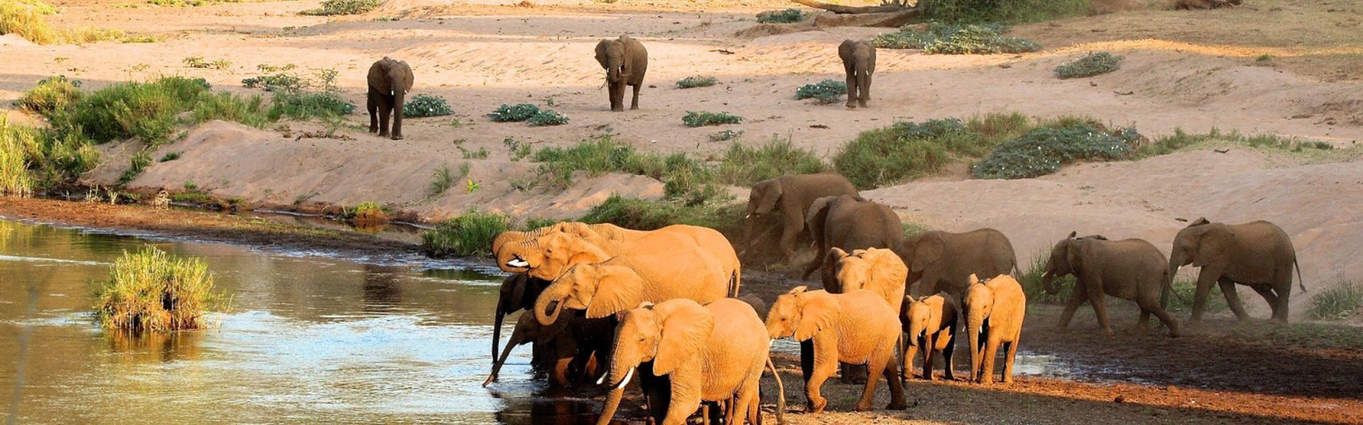 testata Da Capo a Kruger