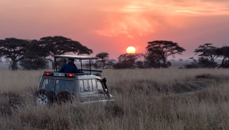 Best of Tanzania - Tanzania