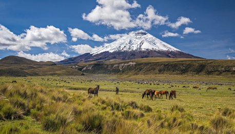 Amazzonia & Via dei Vulcani - Ecuador