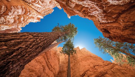 Sognando il West - Stati Uniti