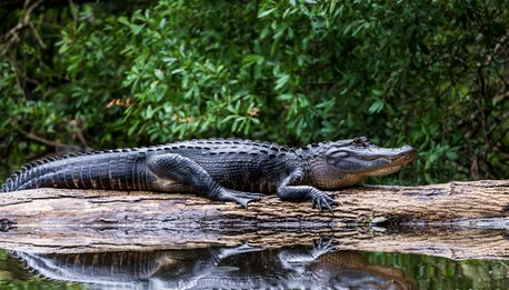 Best of Florida - Stati Uniti