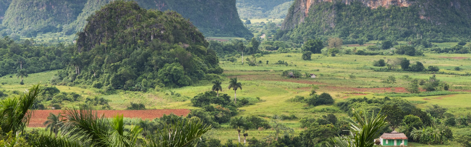 testata Vinales