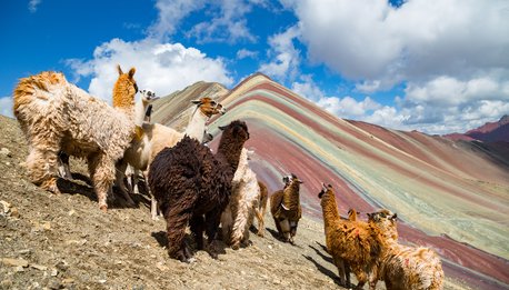 Vinicunca- Rainbow Mountain (5200 m) in Andes, Cordillera de los Andes, Cusco region