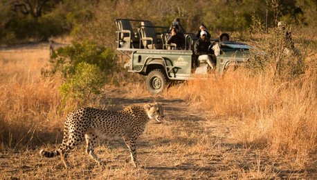 Savanna Private Game Reserve - Sudafrica